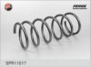 FENOX SPR11017 Coil Spring